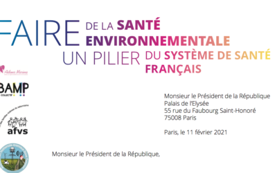 La santé environnementale, oubliée de la sortie de crise de Covid-19 : des associations interpellent le Président de la République